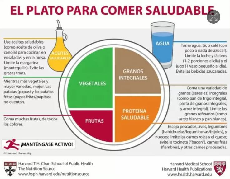 Plato Harvard