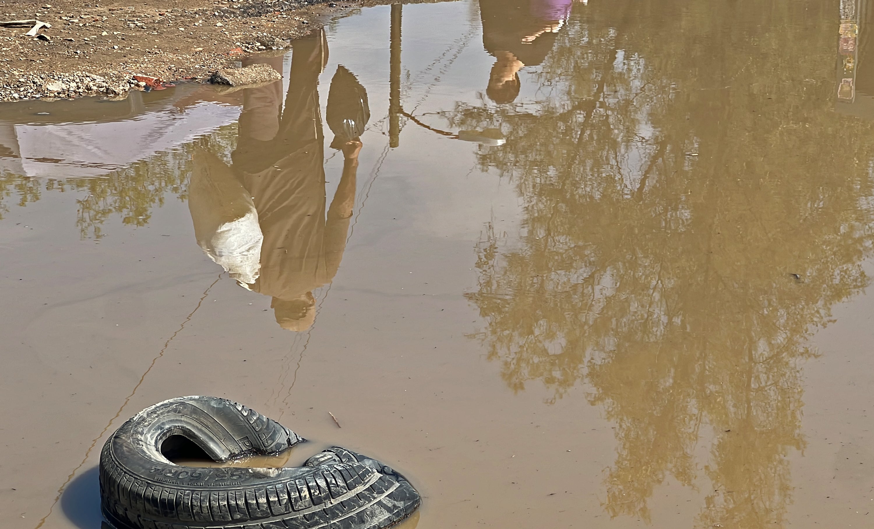 El agua estacanda es un sitio ideal para la cría de mosquitos (EFE/ Jesús Méndez) 