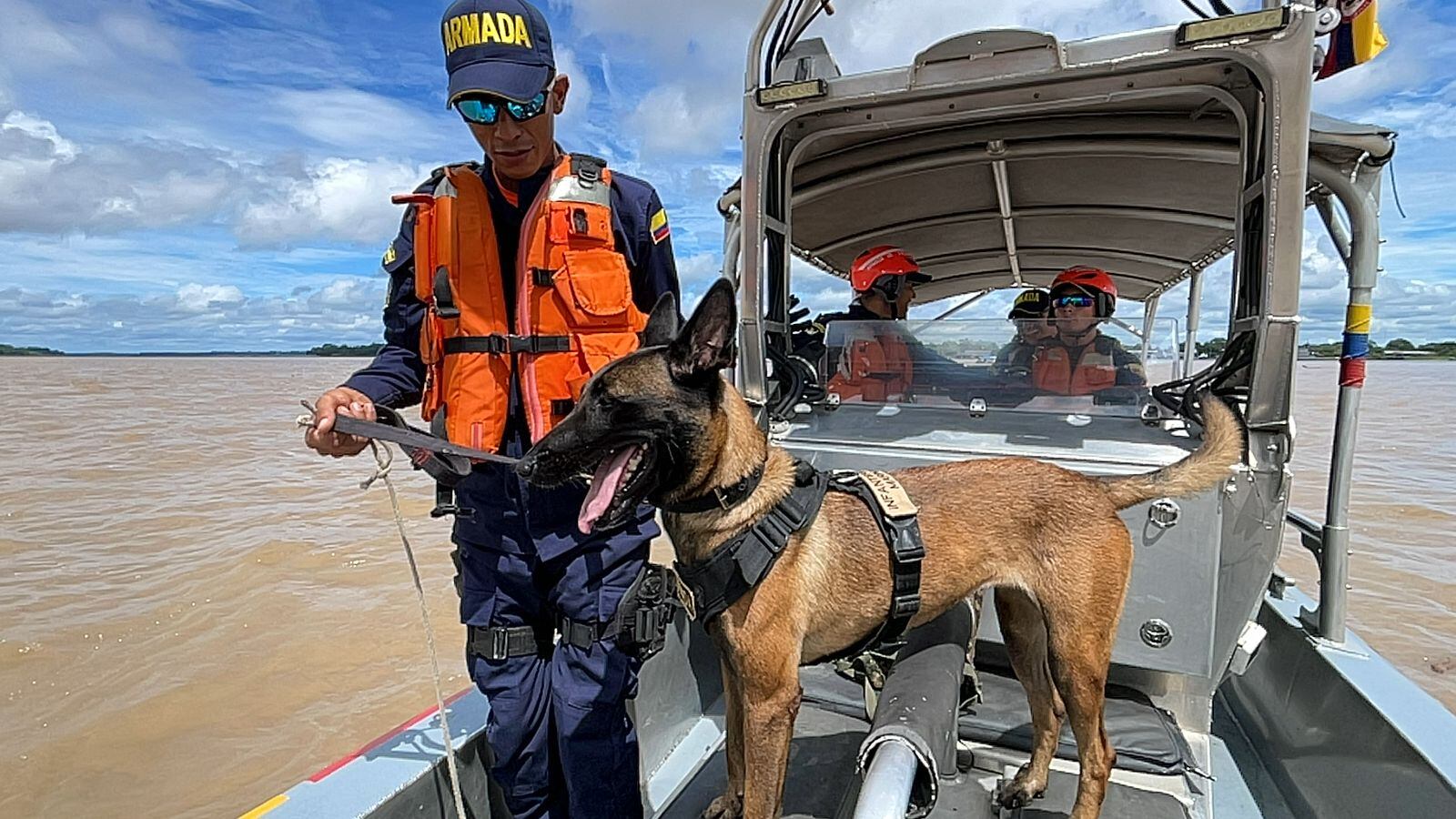 París, la perrita de las fuerzas militares en el Amazonas - crédito fuerzas militares