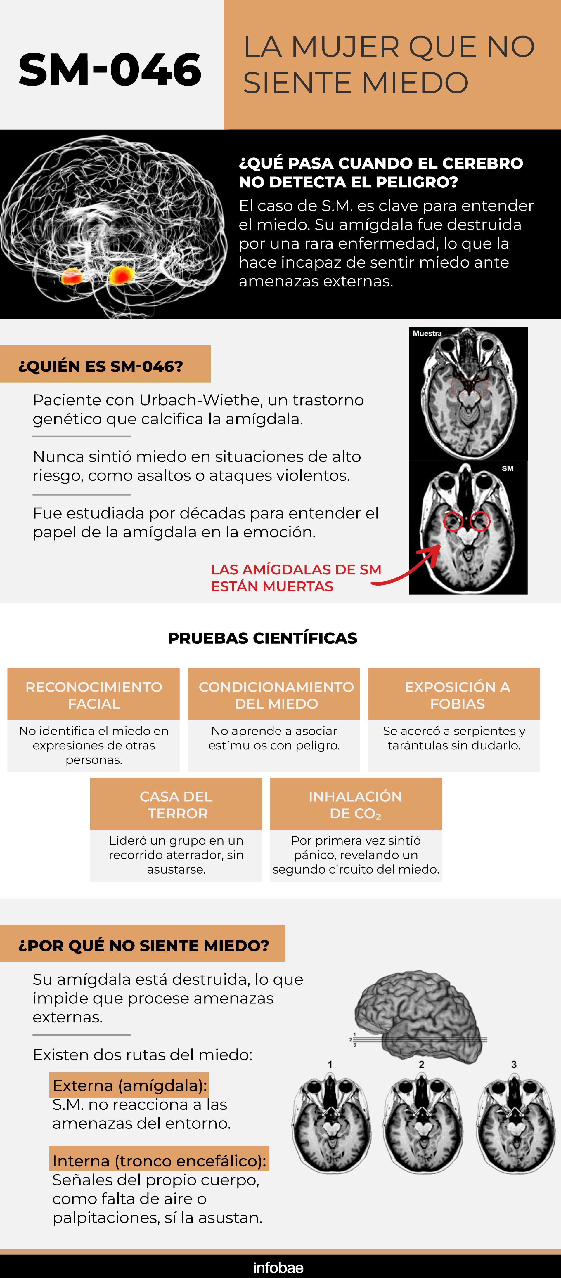 infografia