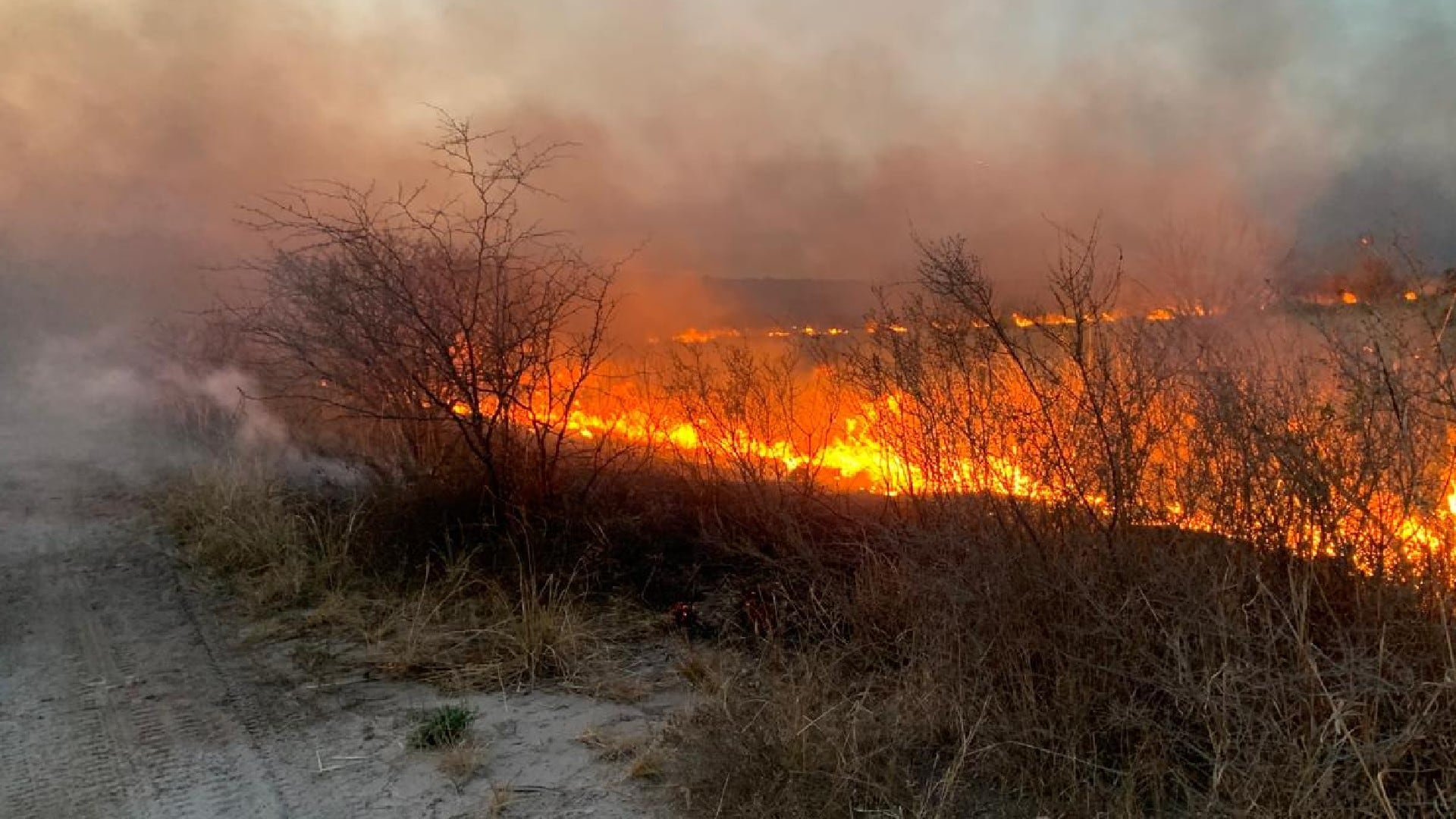 Incendio Córdoba La Calera