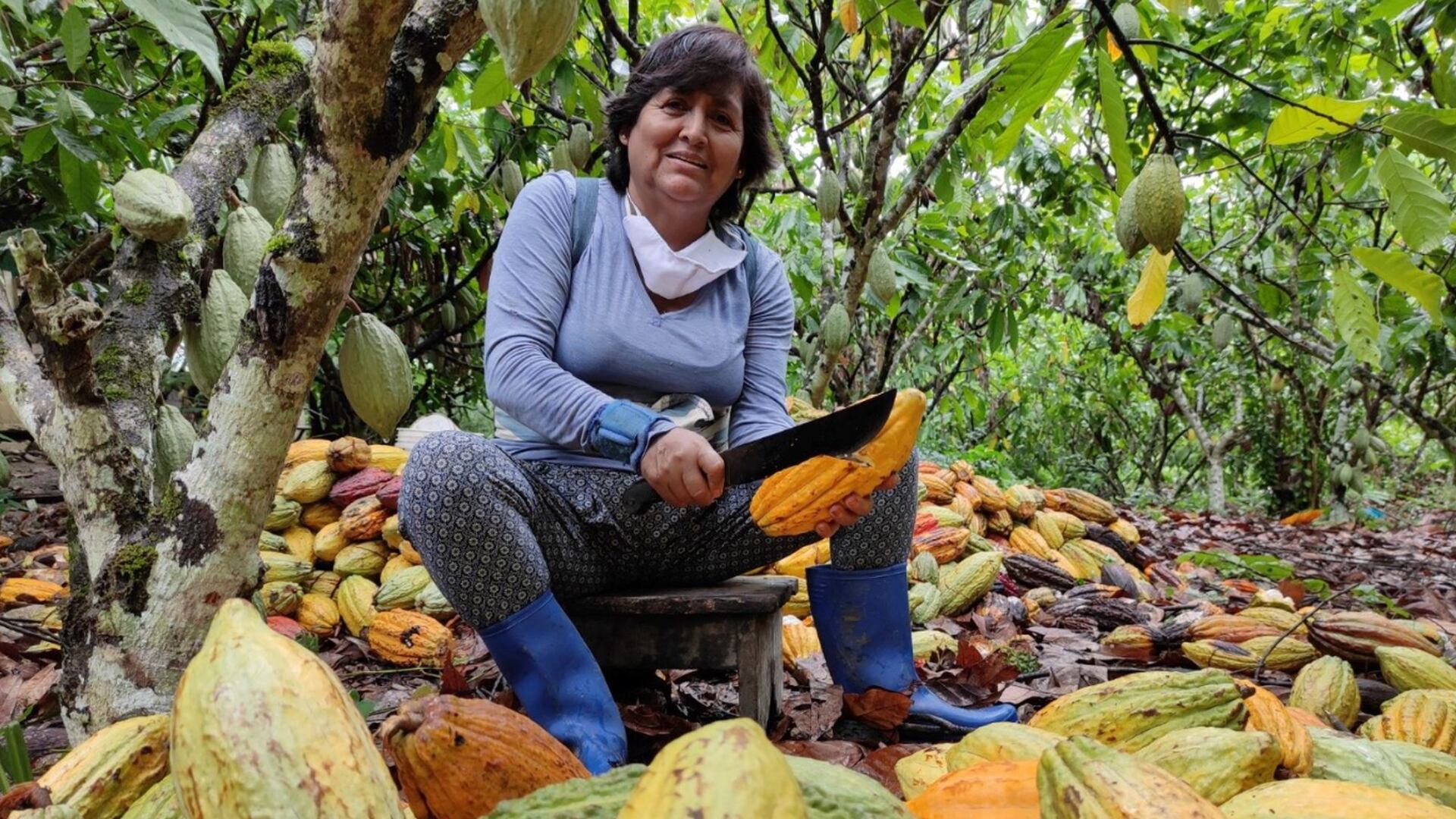 Tappoyo - emprendimiento - Fiorella Contreras - Perú - historias - 19 septiembre