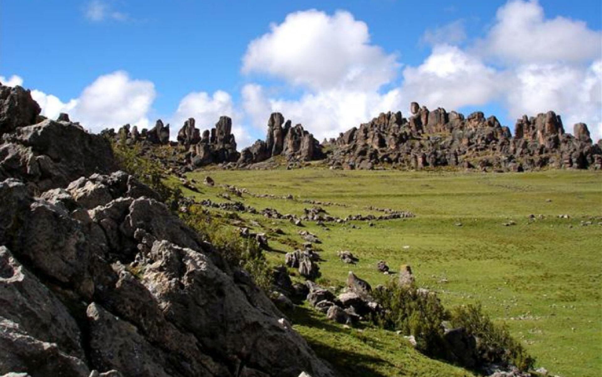 Reserva Nacional Junín – naturaleza – turismo - Perú – historias – 5 agosto