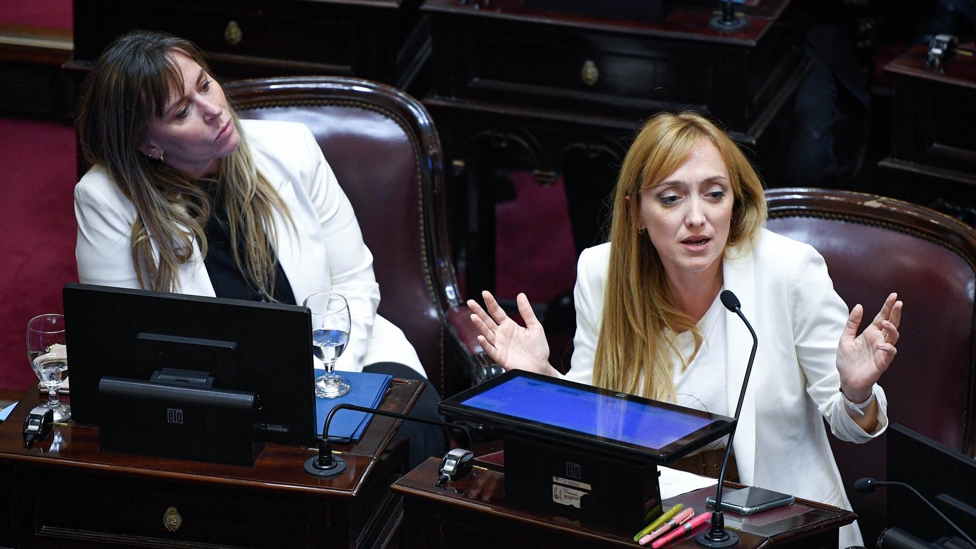 Sesión Senado - Anabel Fernández Sagasti