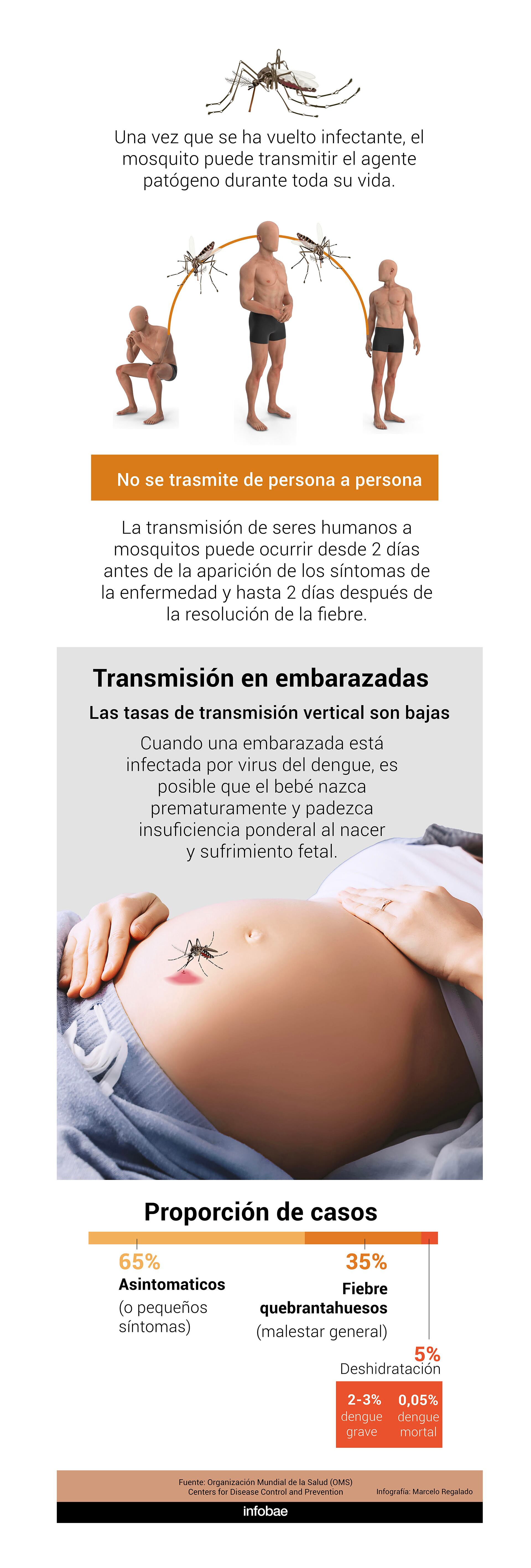 Infografia Dengue