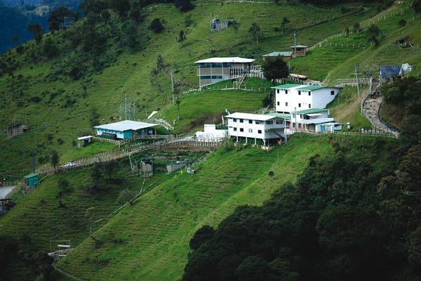 Cortolima desestimó los argumentos de la empresa, señalando que no cumplían con la normativa ambiental - crédito AngloGold Asanti