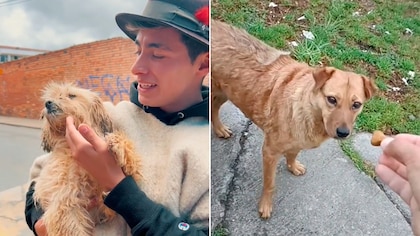 Se viraliza en TikTok trend para rescatar perritos de la calle