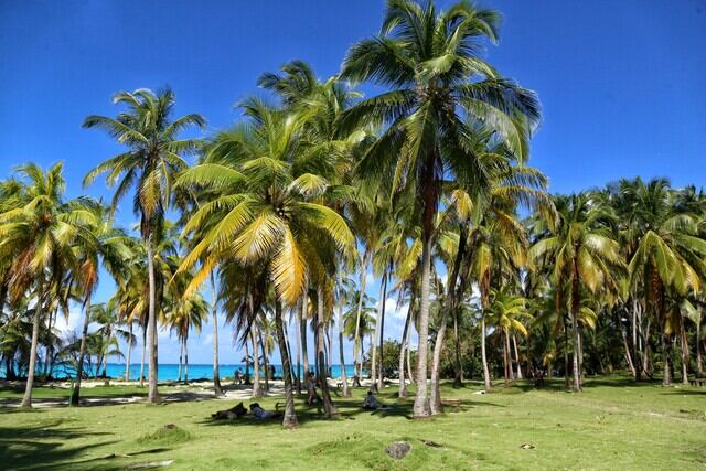 La isla de San Andrés experimentó una baja en la frecuencia de turistas - crédito Colprensa