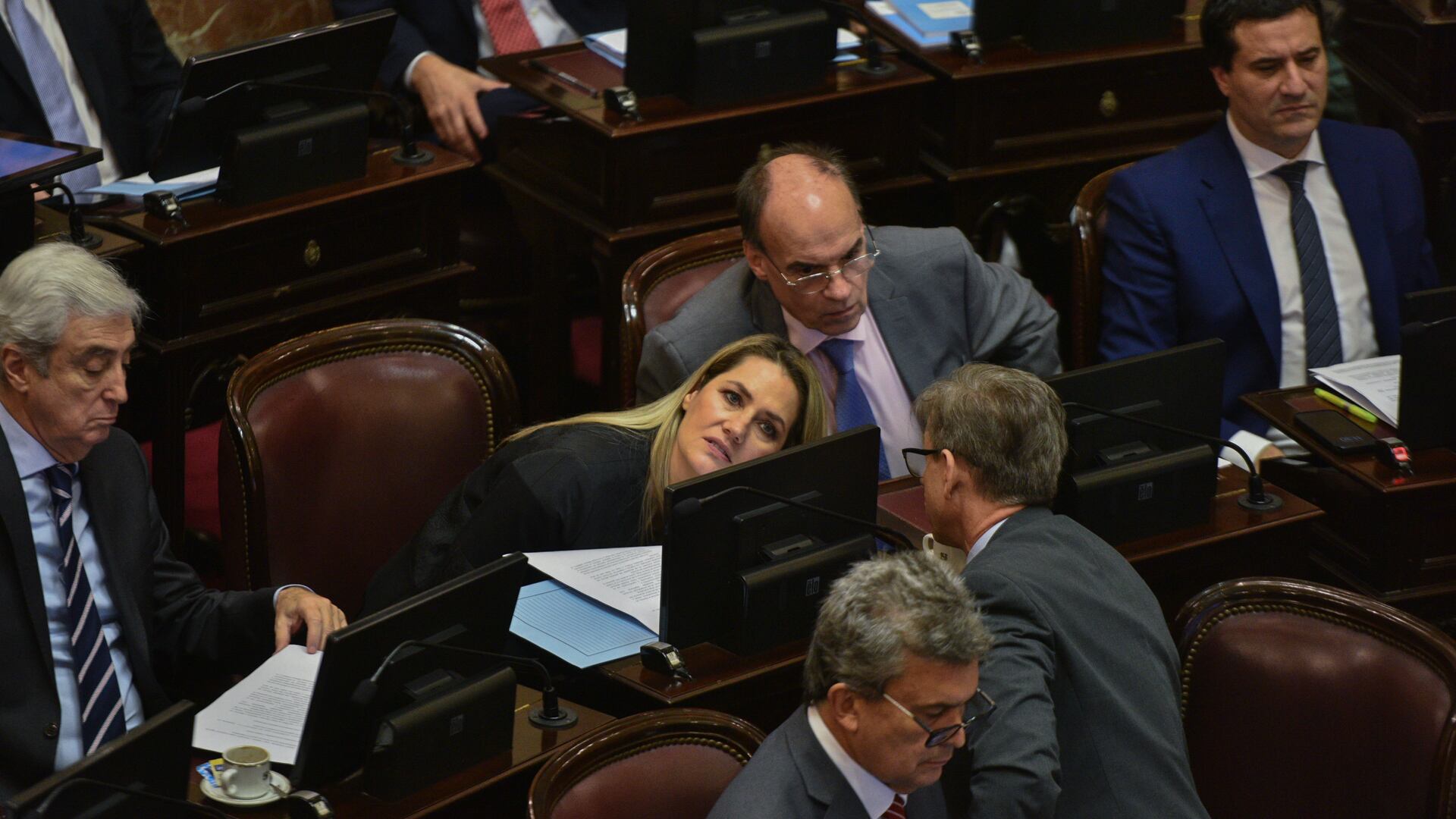 Debate Ley Bases en el Senado - 12.06.2024