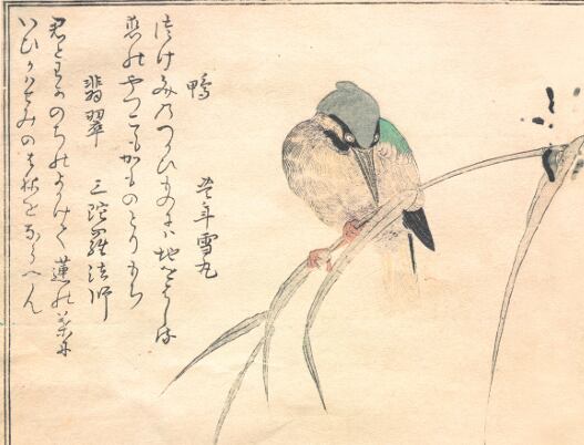 Pájaros de Kitagawa Utamaro (Fragmento)