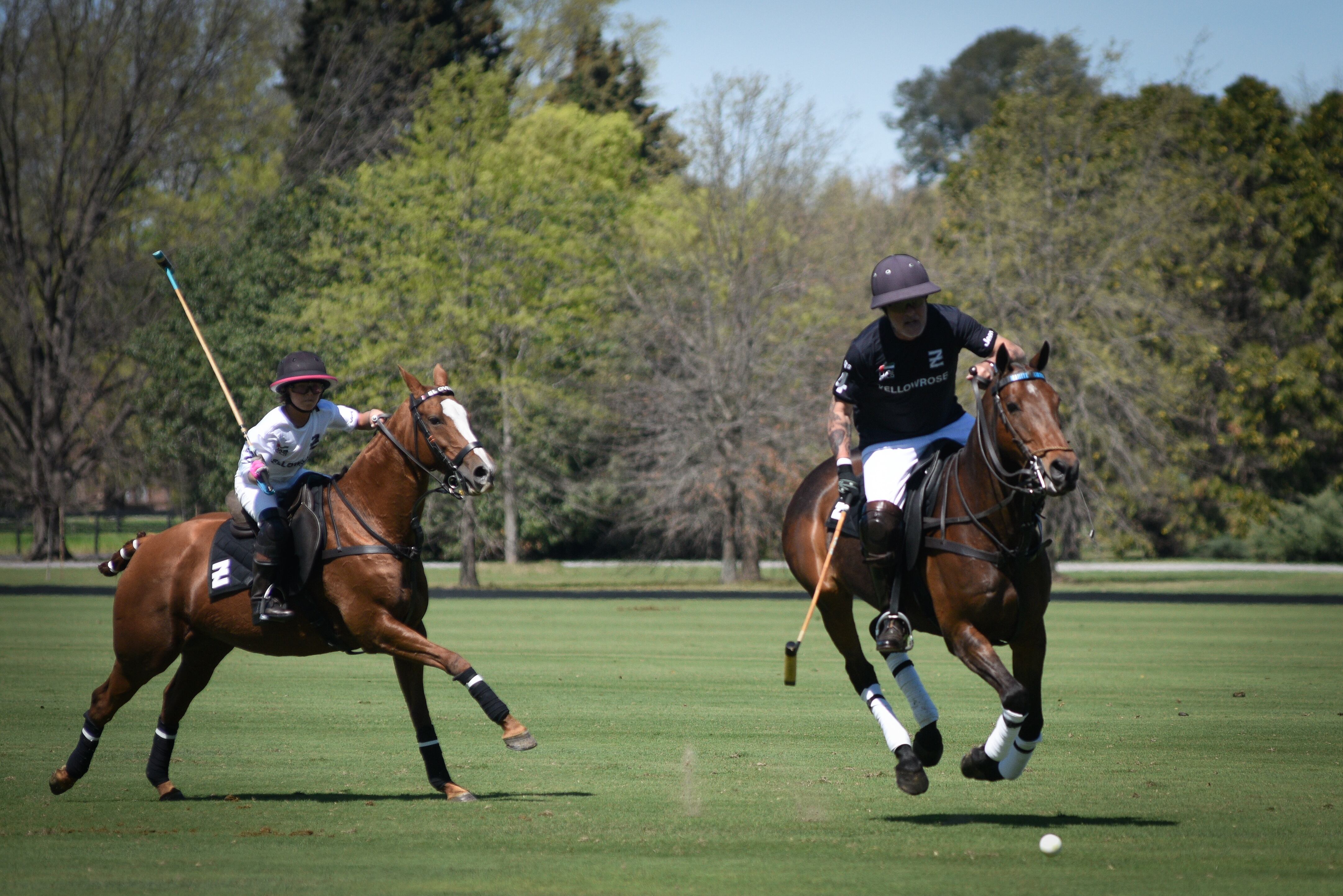 Ellerstina Yellow Rose