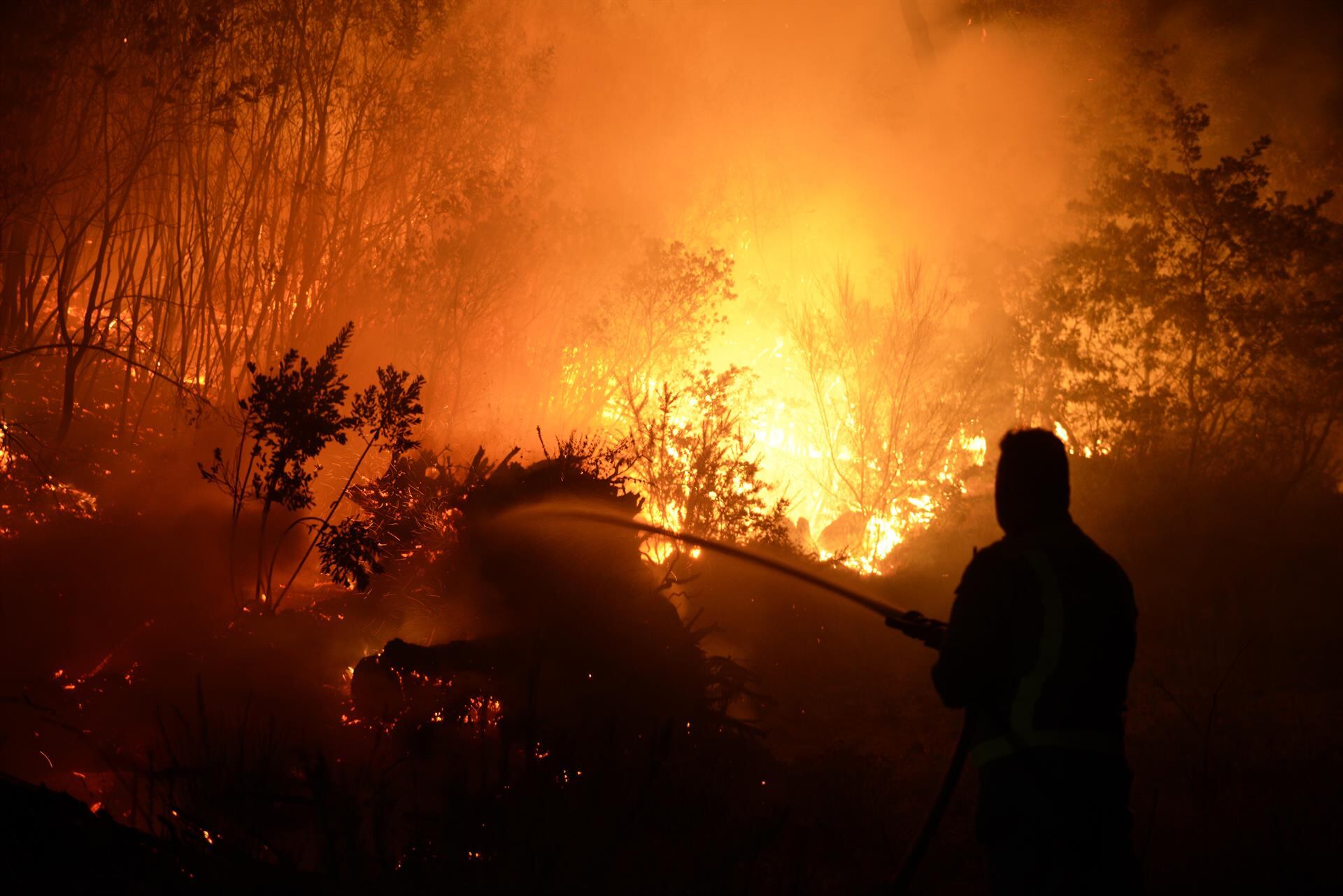 Los incendios forestales baten récords de emisiones de carbono desde que hay registro, según Copernicus