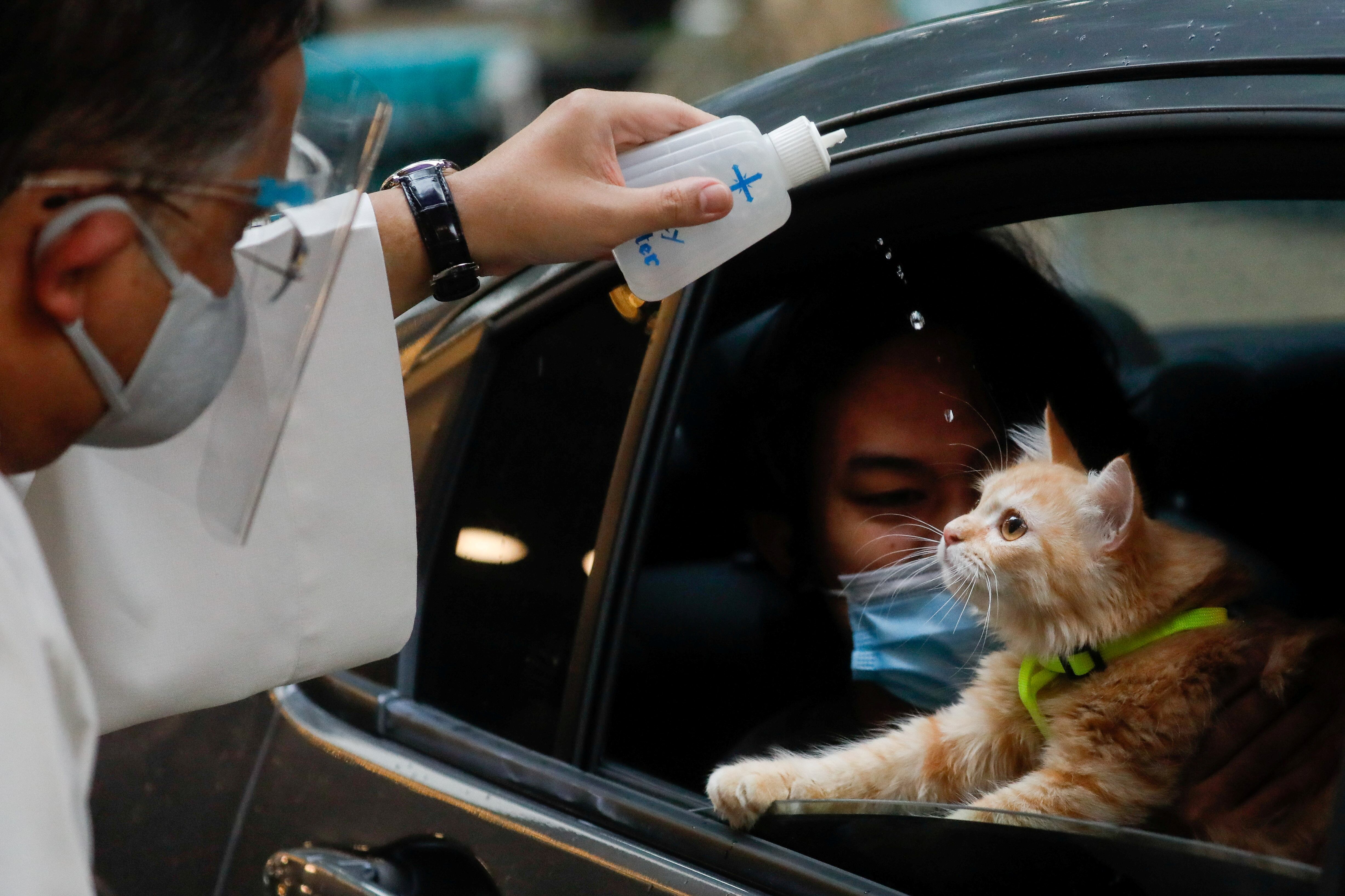 Durante la pandemia por COVID-19, la bendición no se detuvo y los asistentes la recibieron desde sus automóviles. (REUTERS/Eloisa Lopez)