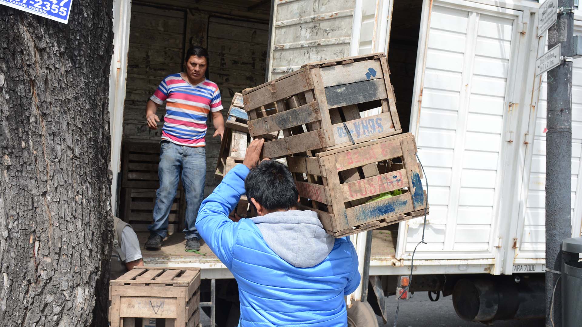 “Menos del 10% de los titulares del monotributo social facturaban por sus actividades", afirma el informe de Capital Humano (Franco Fafasuli)