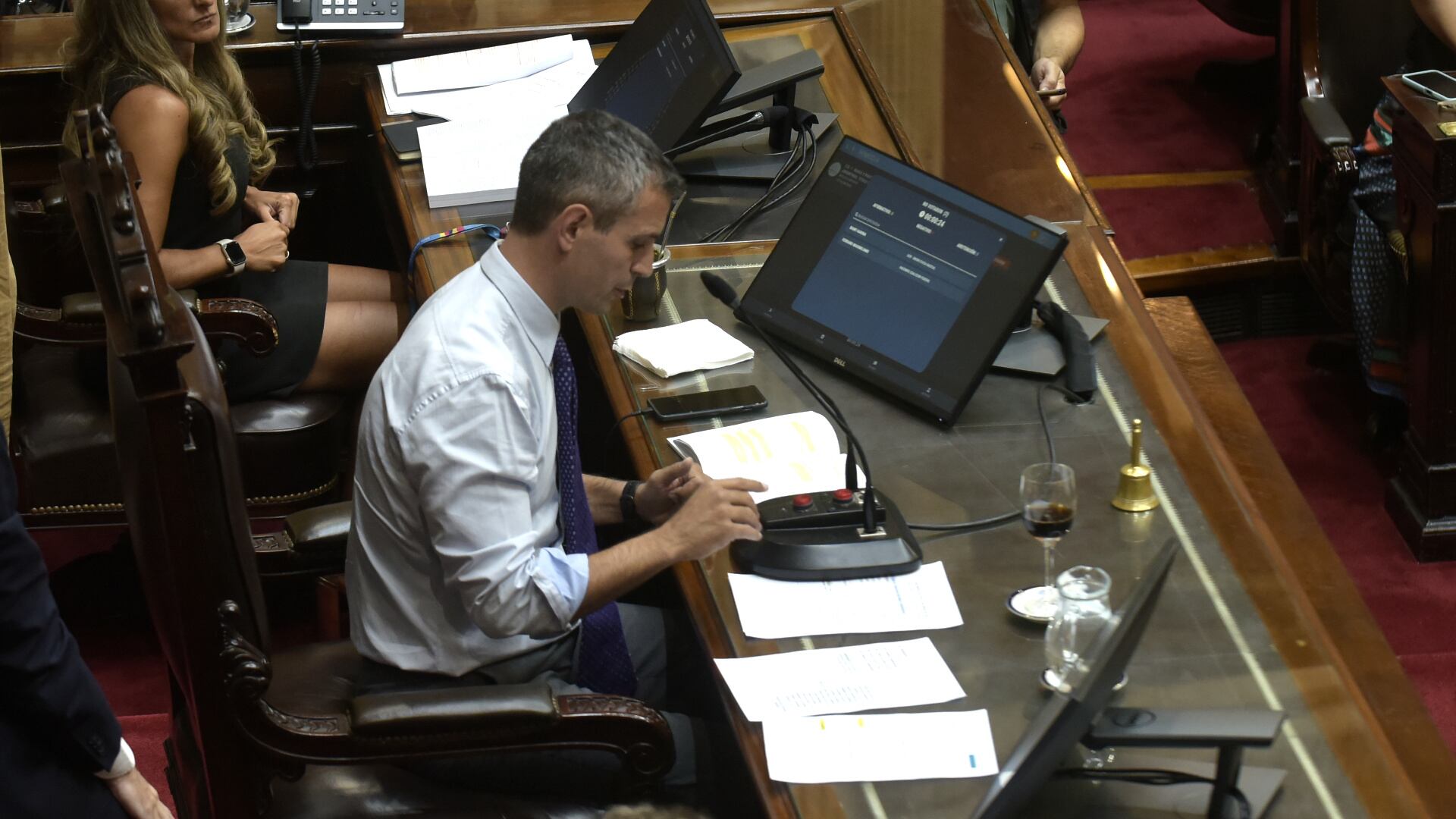 La Cámara de Diputados debate en particular la Ley Ómnibus