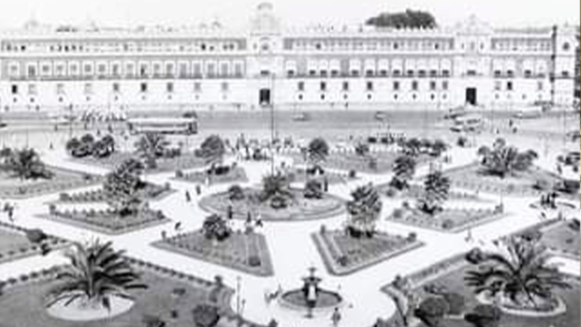 Zócalo de la Ciudad de México, cuando no era un
espacio abierto sino, repleto de palmeras