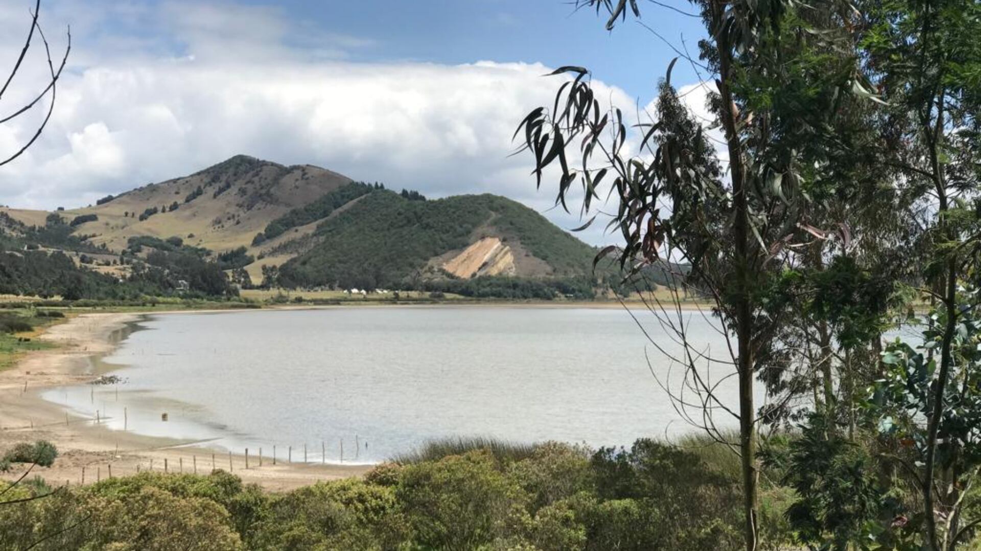 Denuncian mortandad de peces en la laguna de Suesca, en Cundinamarca