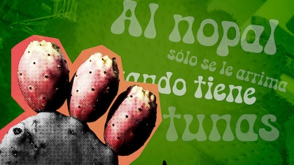 Refranes mexicanos: “Al nopal sólo se le arriman cuando tiene tunas”, su origen y significado
