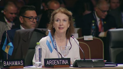 Diana Mondino pidió ante la OEA una solución al conflicto de las Islas Malvinas y el reclamo fue aprobado por aclamación