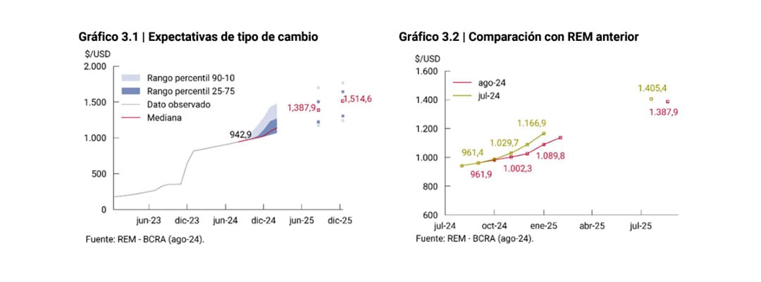 REM BCRA Agosto 2024