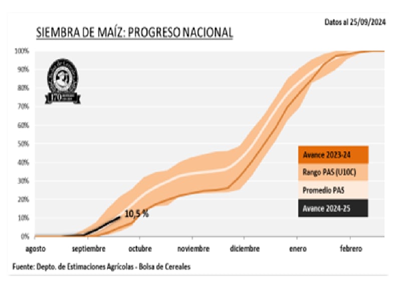 Maíz, progreso de siembra de la campaña 2024/25