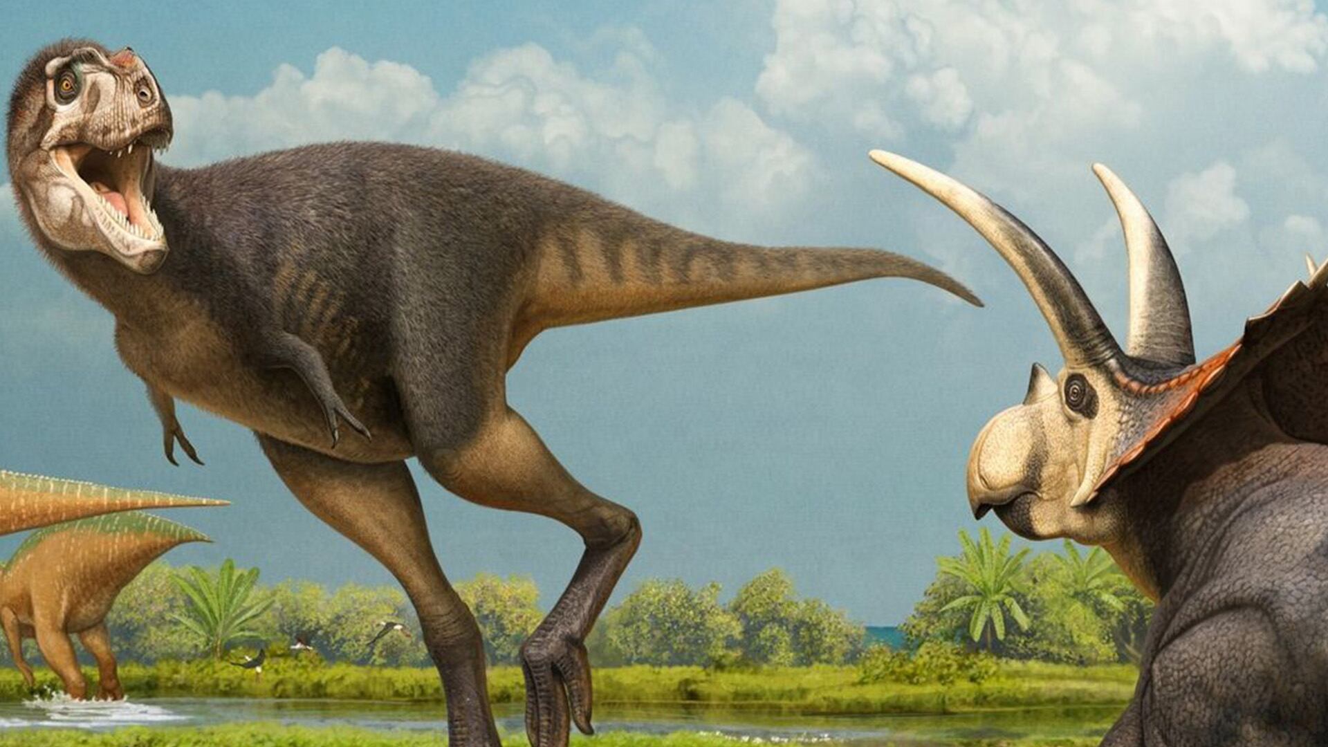 Recientemente se informó sobre el descubrimiento de una nueva especie de tiranosaurio mexicano. (Instagram/museodeldesierto)