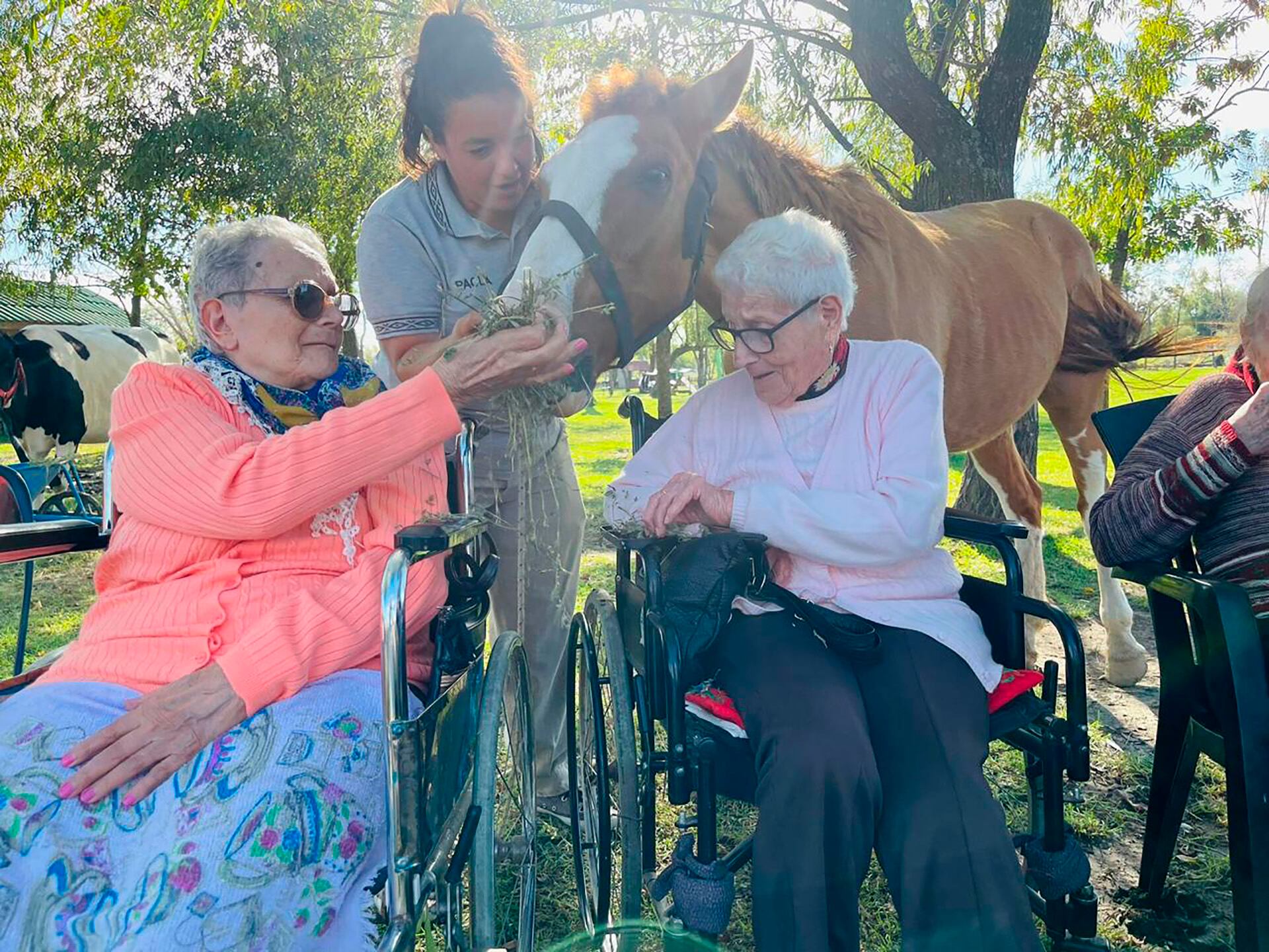 Ema y Blanca - amistad en la tercera edad.