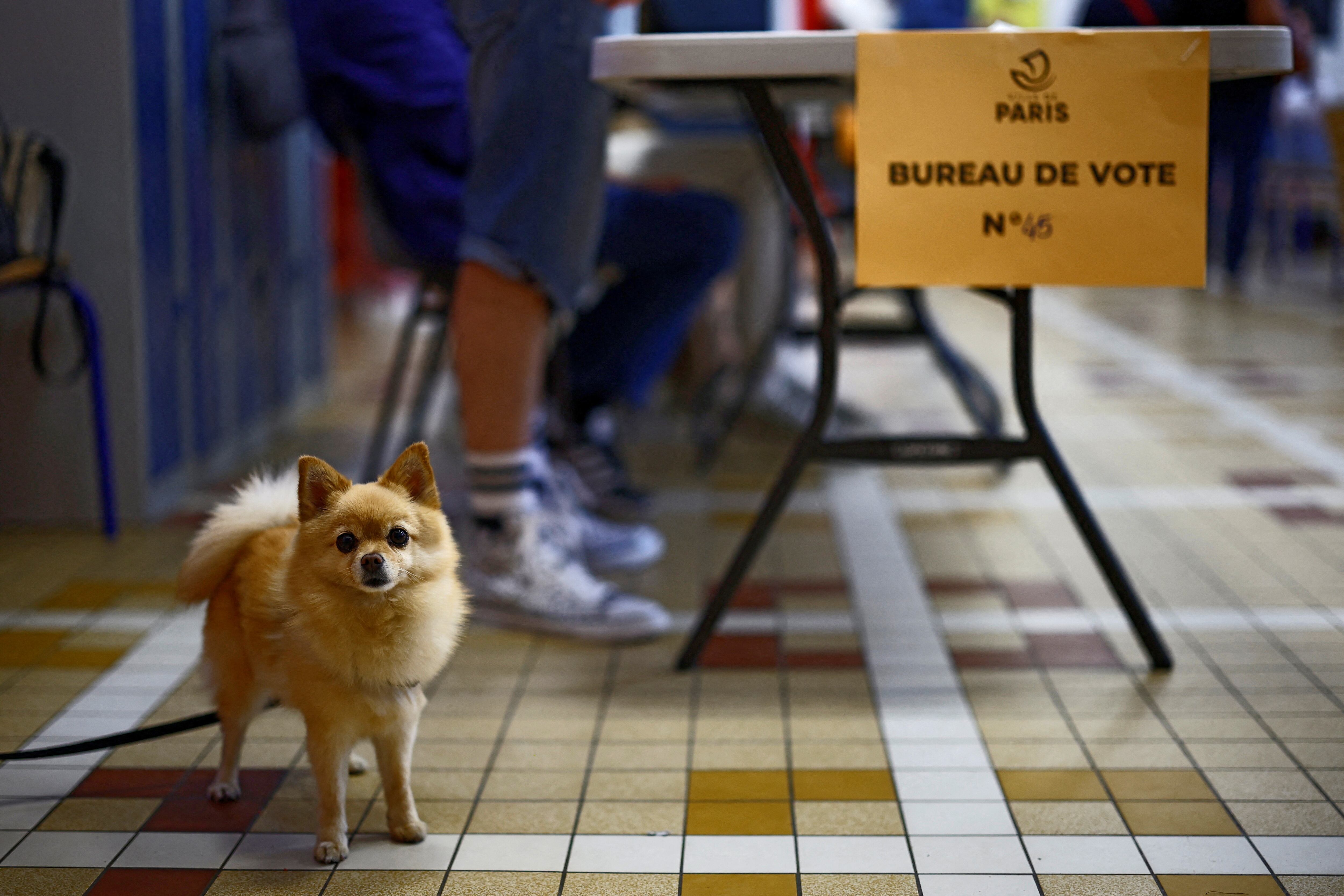 Elecciones en Francia. (Reuters)