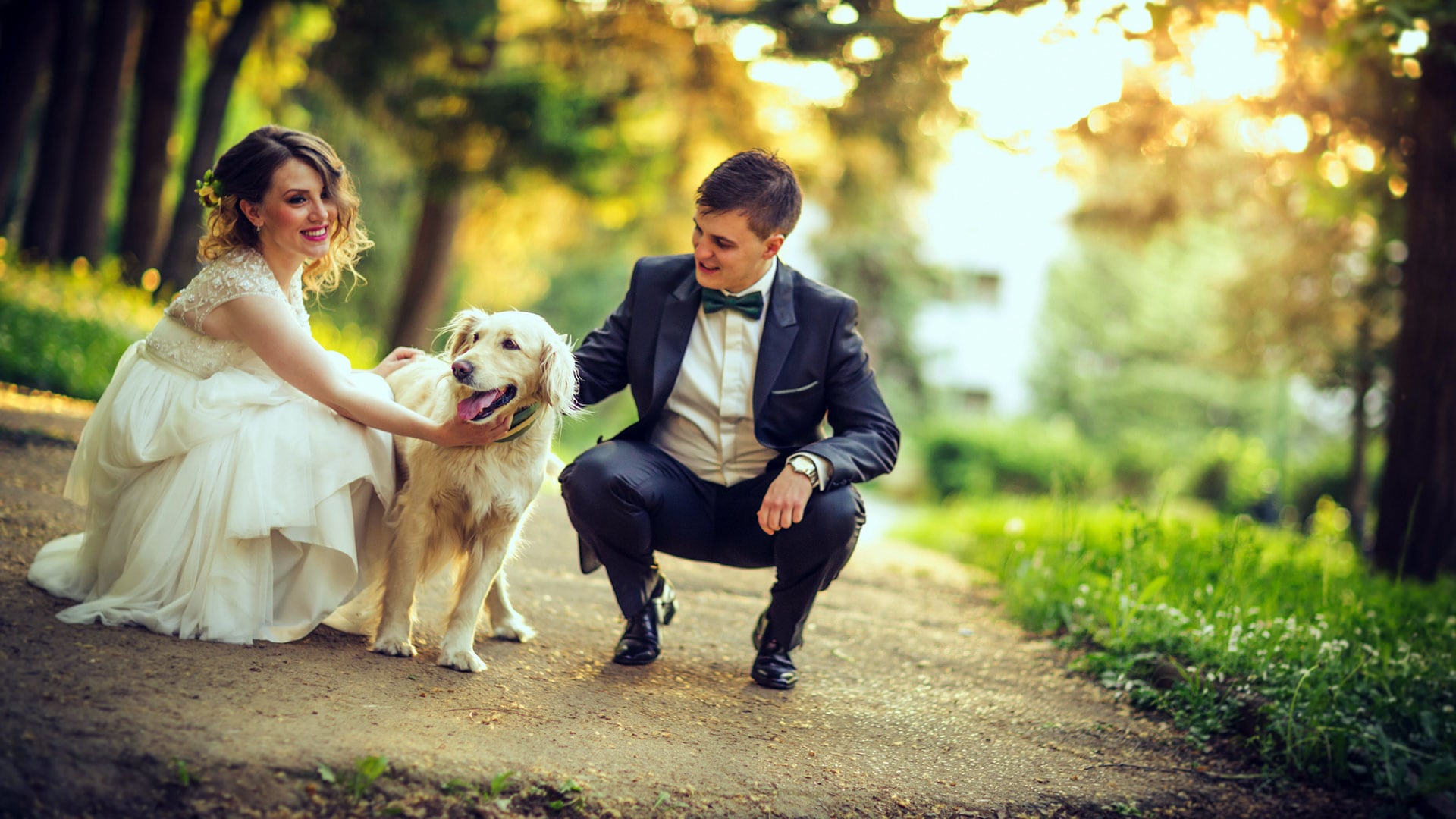 perros en bodas-casamientos