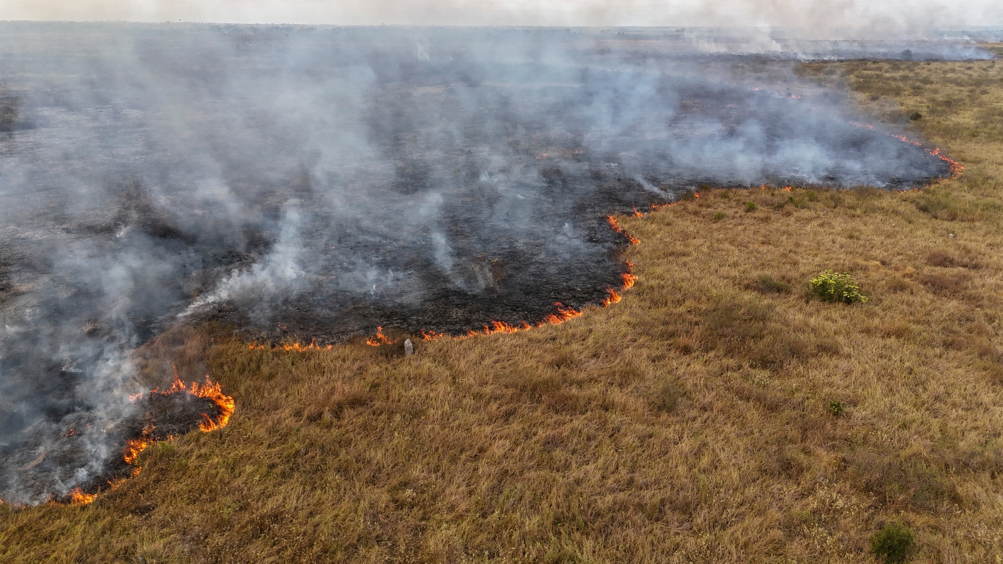 Incendio forestal en el Pantanal brasileño, en Corumbá (Brasil) (EFE/ Sebastiao Moreira) 