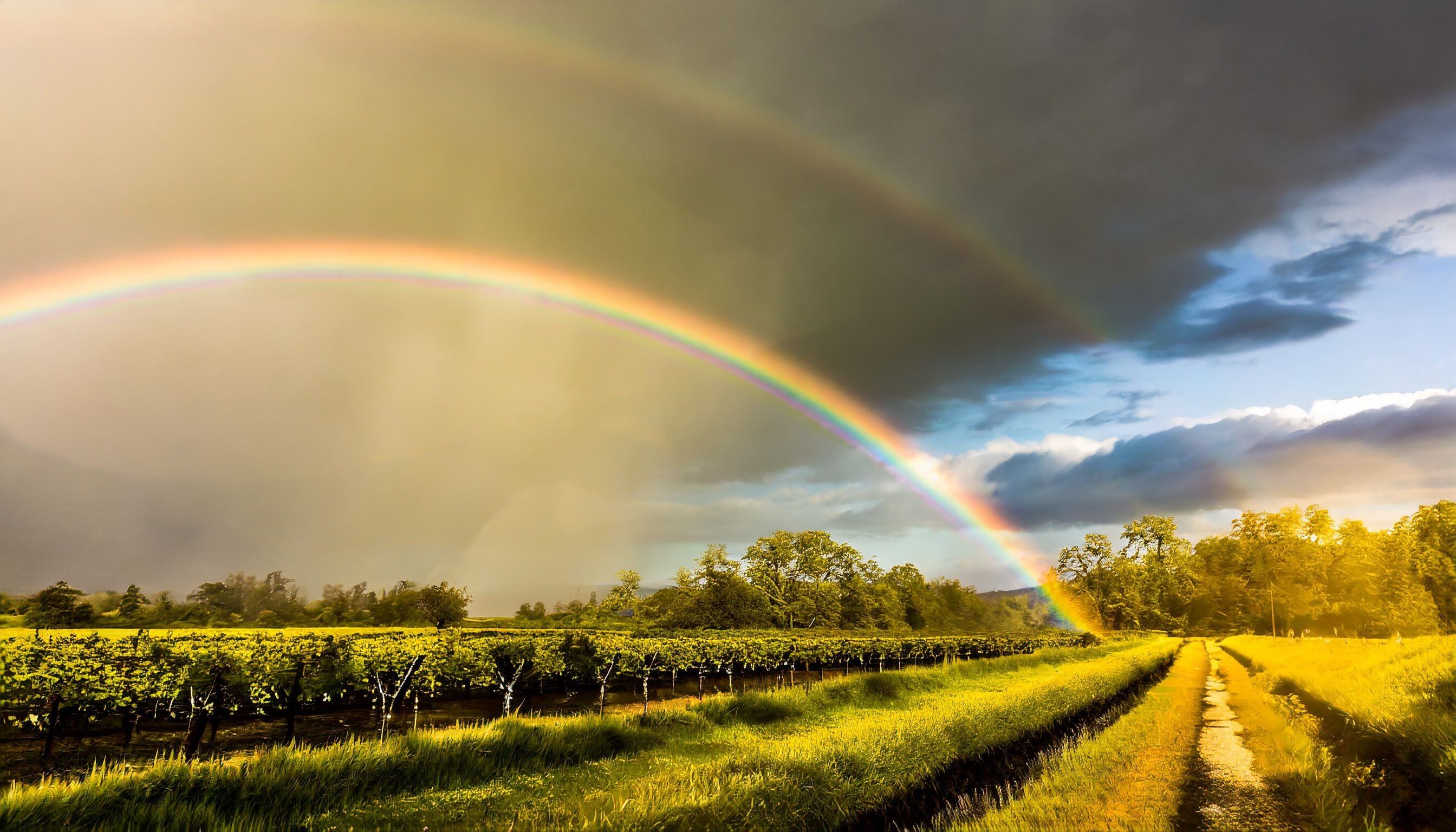 Temperatura, probabilidad de lluvia, nubosidad y rayos ultravioleta son algunos de los datos que debes de saber antes de salir de casa. (Infobae/Jovani Pérez)