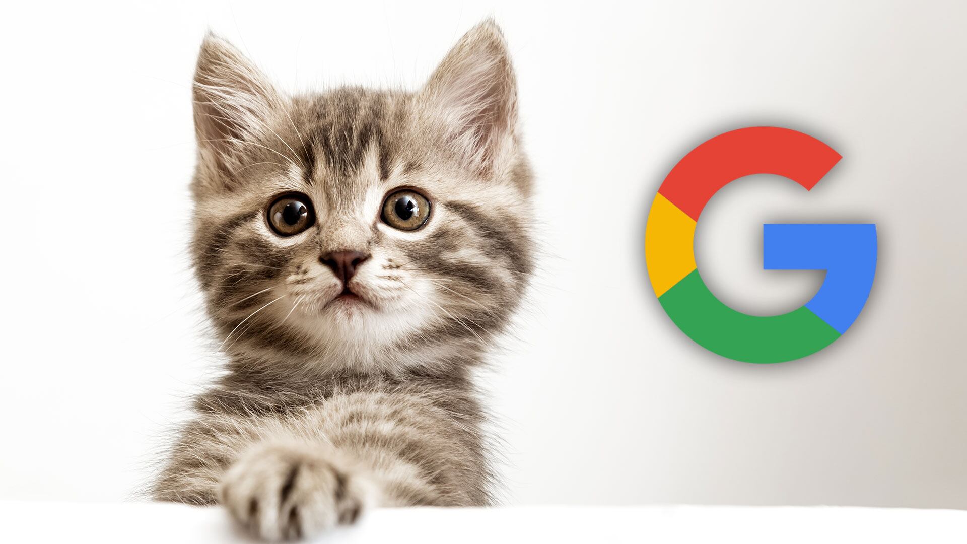 gato google