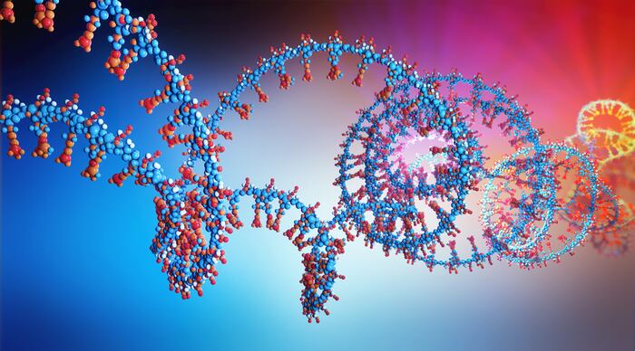 Desde el cáncer al Alzheimer: cuáles son los usos del hallazgo reconocido con el Premio Nobel de Medicina 2024