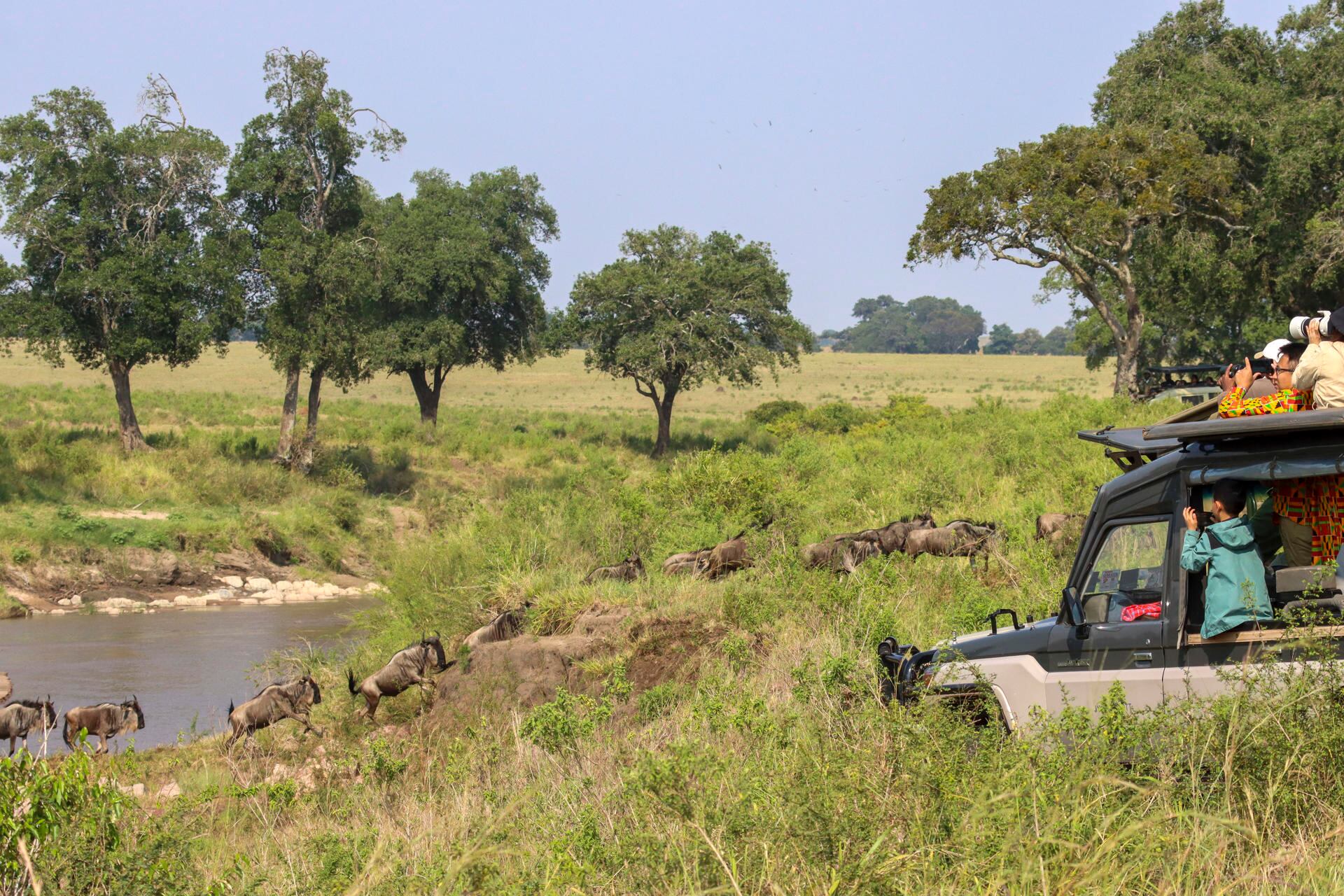 Masái Mara turistas - Kenia - 2024