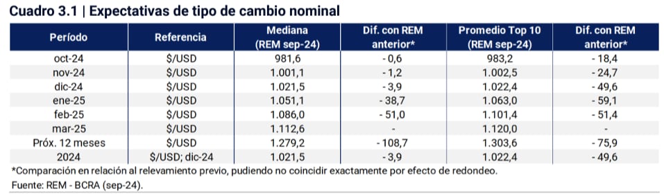 REM BCRA - Septiembre 2024