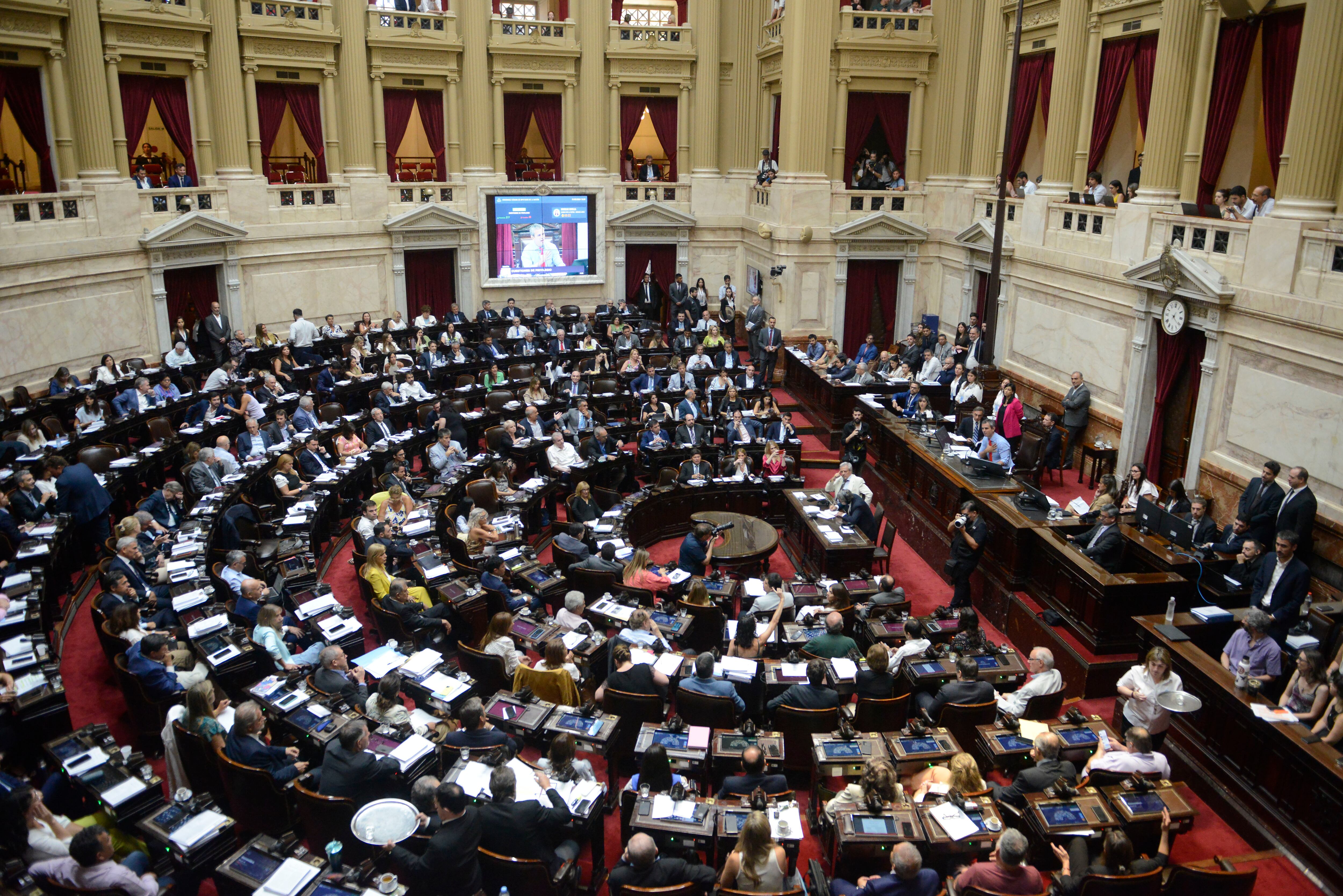 El proyecto se tratará en Diputados  (Foto: EFE/ Cámara de Diputados)