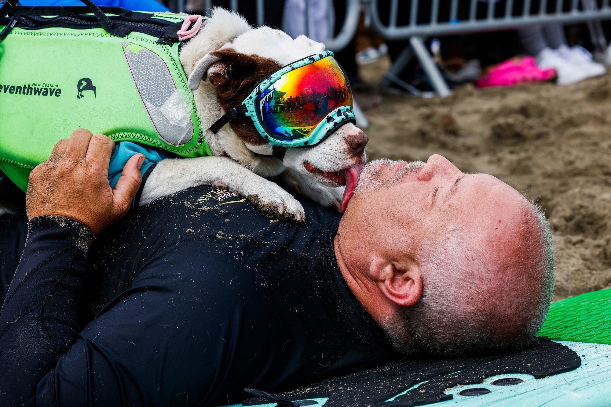 Campeonato de surfeo de perros - California - 2024