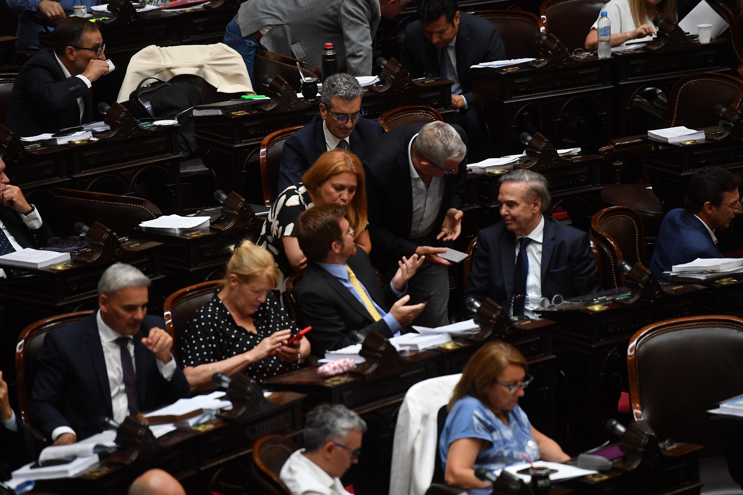 La Cámara de Diputados debate en particular la Ley Ómnibus