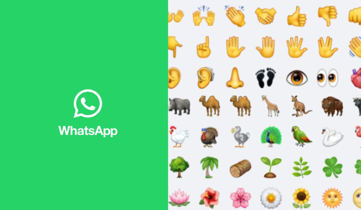 WhatsApp categoriza su galería sus emojis en ocho clases. (WhatsApp)