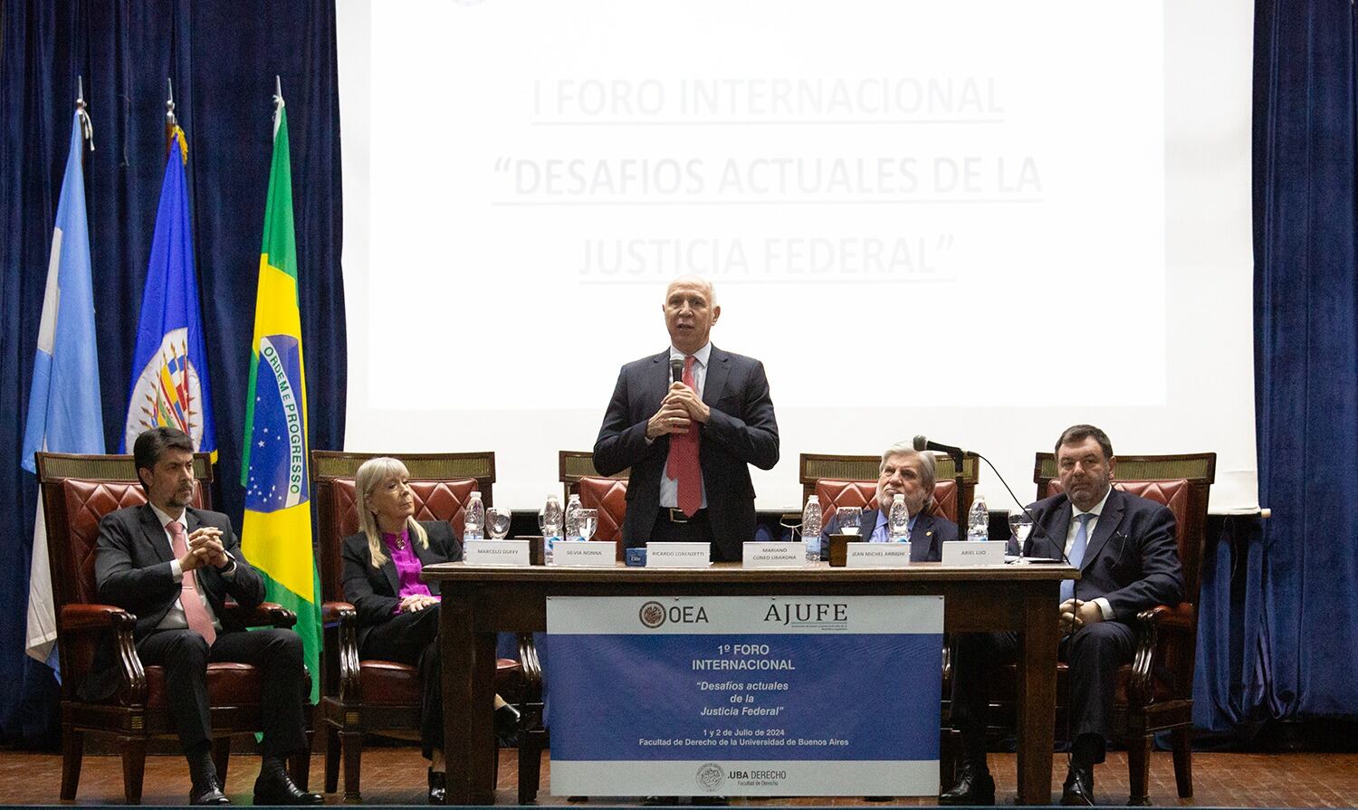 Resumen Foro AJUFE y OEA