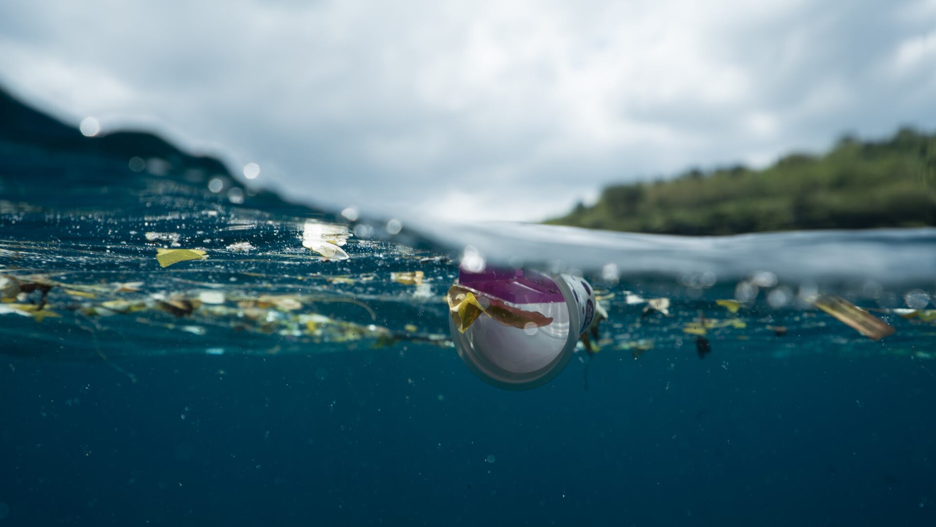 En el Día del Agua, recordemos que la naturaleza es sabia y generosa al proveernos de este recurso invaluable para nuestra existencia. Honremos su regalo cuidándolo y preservándolo para las generaciones futuras.