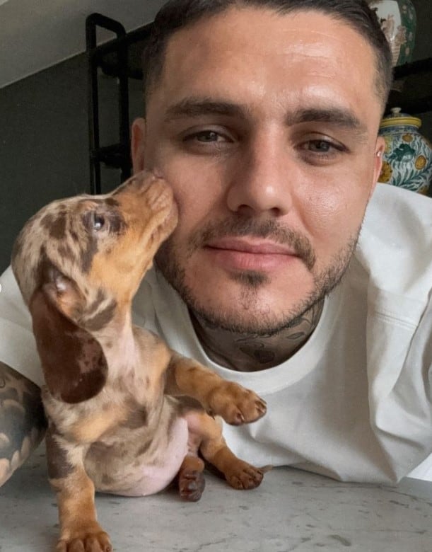 Mauro Icardi se mostró con la perrita de Wanda Nara en Buenos Aires (Instagram)