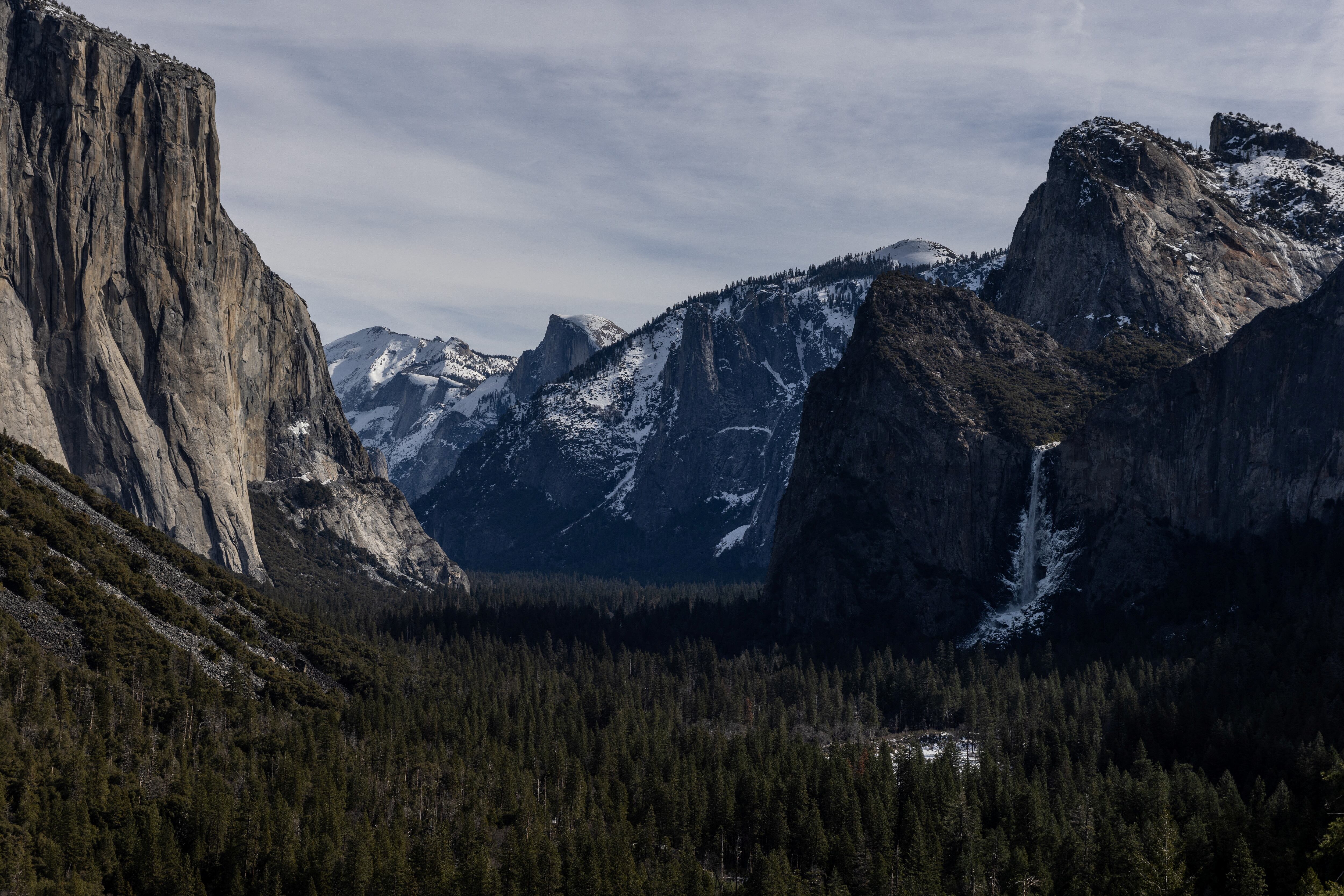 Yosemite alberga secuoyas gigantes y casi el 95% de su extensión se considera zona silvestre (REUTERS/Carlos Barria)