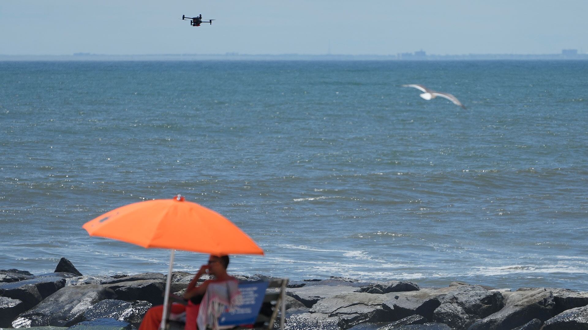 Aves drones Nueva York