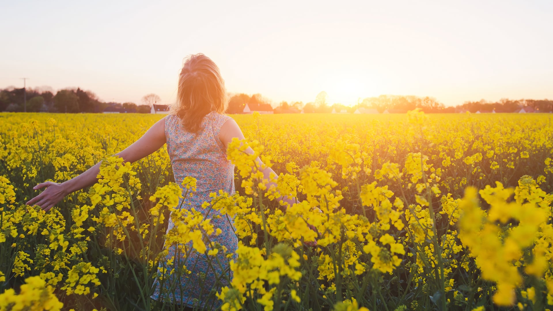 Las feromonas, hormonas sexuales que envían señales de atracción, aumentan su producción con la exposición a la luz solar y las temperaturas cálidas, lo que refuerza la conexión entre la primavera y el incremento del deseo y el enamoramiento (Getty)