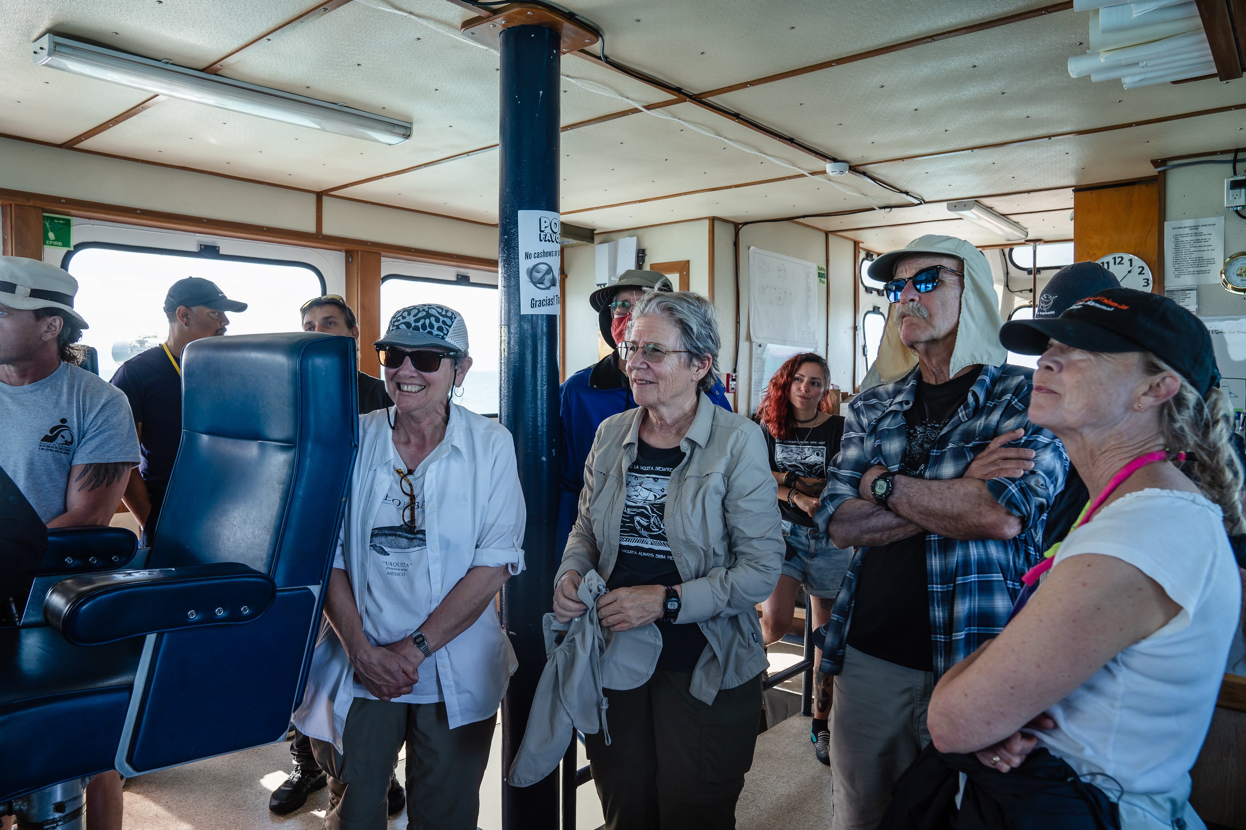 Barbara Taylor, bióloga que lleva décadas estudiando a las vaquitas marinas, al centro, durante el estudio del año pasado (Ariana Drehsler/The New York Times)