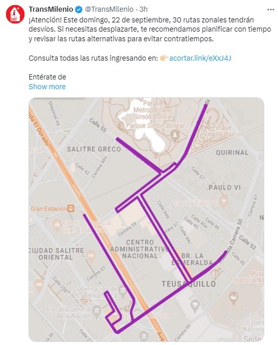 Desvíos buses zonales