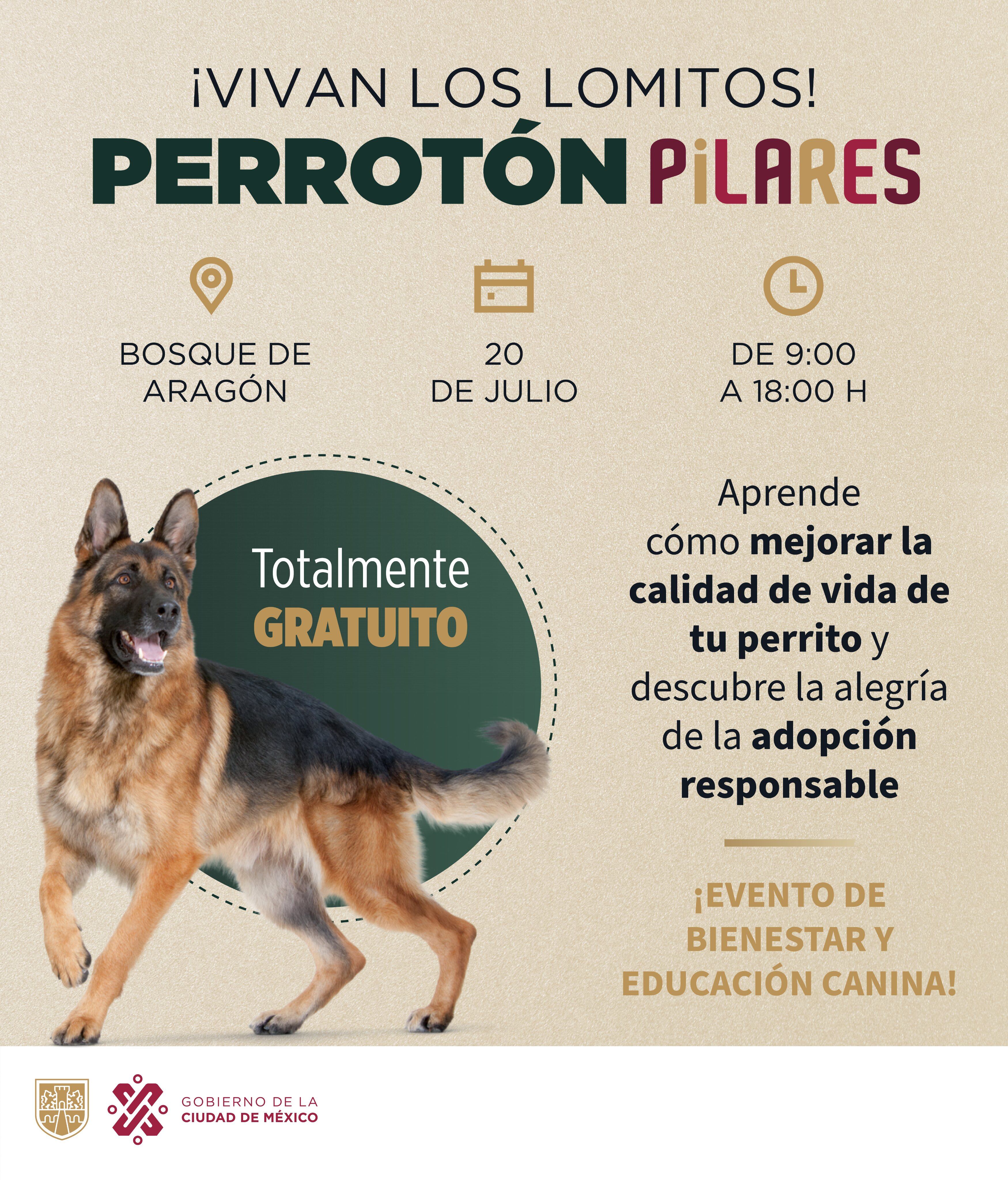 Perrotón