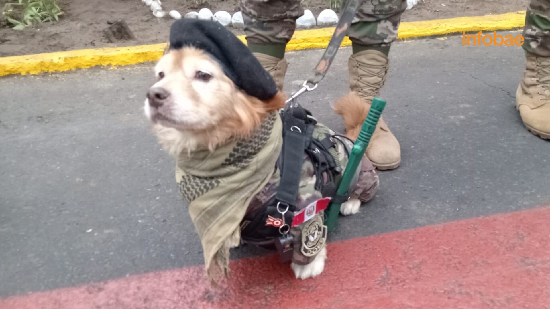 Desfile y Gran Parada Militar en Perú por Fiestas Patrias | Infobae Perú / Ricardo Mc Cubbin