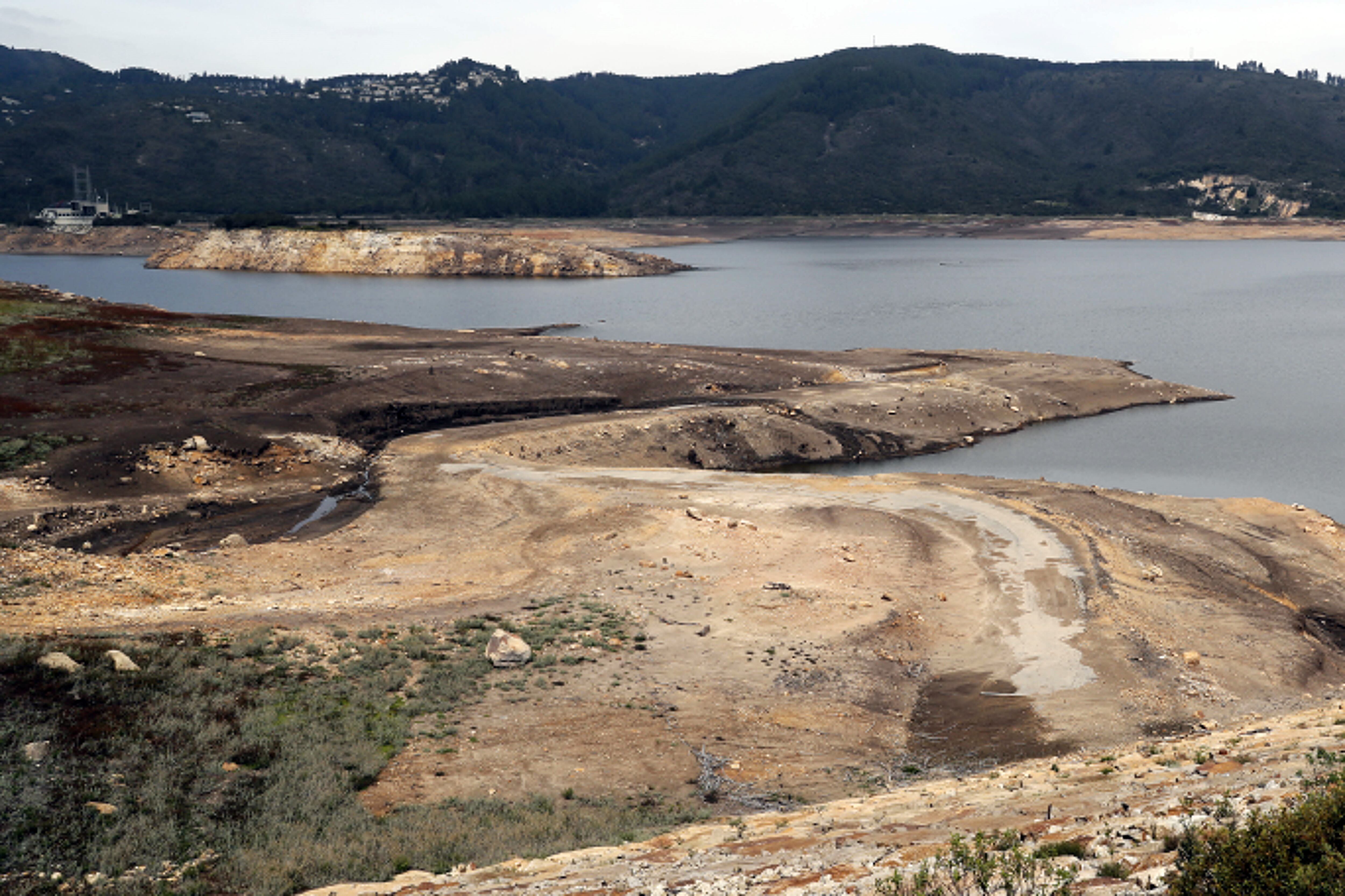 La concesión a Coca-Cola no afecta al embalse San Rafael ubicado en el municipio de La Calera, que sirve, entre otros, al abastecimiento del líquido a la capital colombiana - crédito Carlos Ortega/Efe